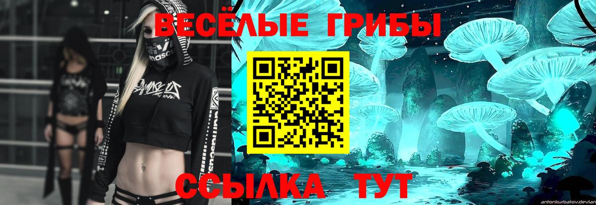 Псилоцибиновые грибы GOLDEN TEACHER Котовск